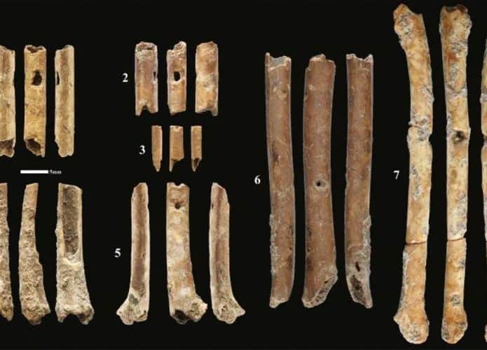 flautas-de-ossos-12-mil-anos-695x500