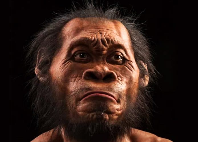 homo-naledi-reconstrucao-695x500