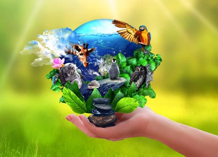 planeta-terra-natureza-695x500