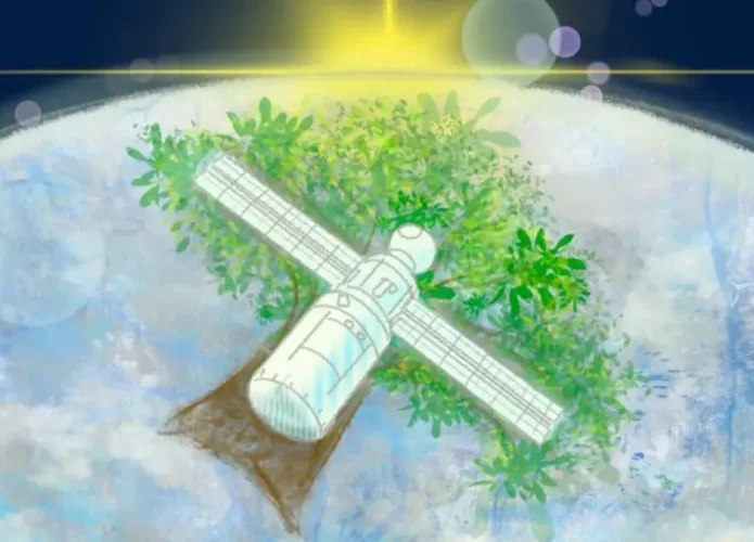 Ilustração artística de um satélite de madeira (Credito: KyotoU Global Comms/Jake Tobiyama)