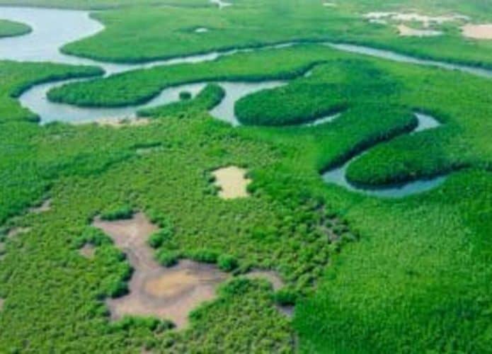 shutterstock_rio-amazonas-300x200-1-695x500