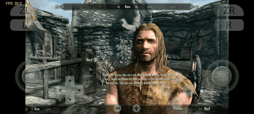 Imagem mostrando um dos jogos disponíveis no emulador