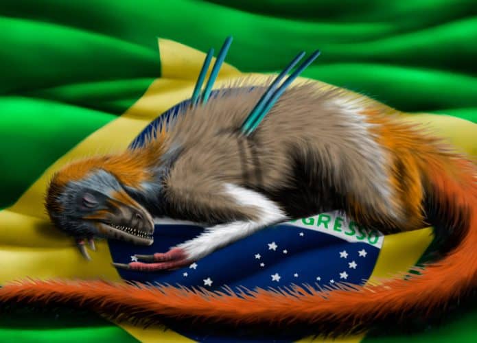 ubirajara-dinossauro-brasil-695x500