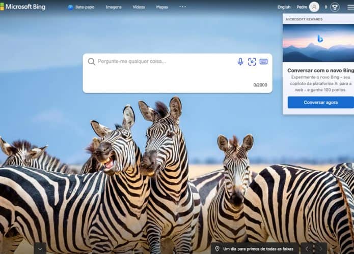 Captura de tela no Bing com destaque para o novo recurso Bing Chat