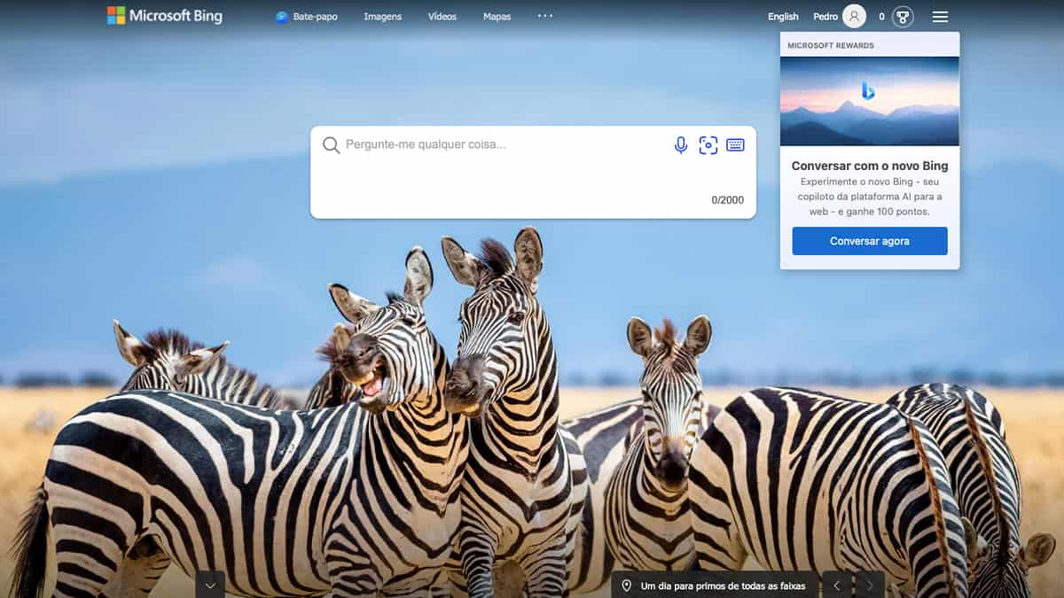 Captura de tela no Bing com destaque para o novo recurso Bing Chat