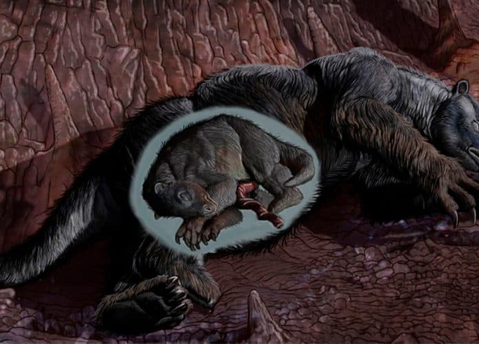 Ilustração de mãe preguiça gigante prenha dormindo em caverna