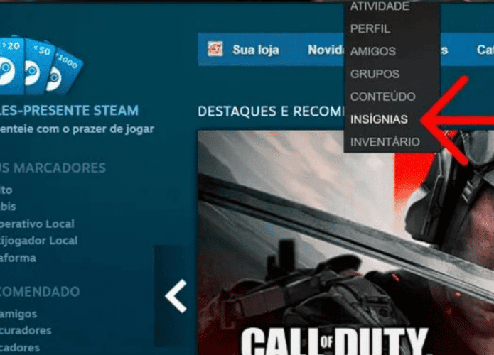 Imagem mostrando tela da Steam