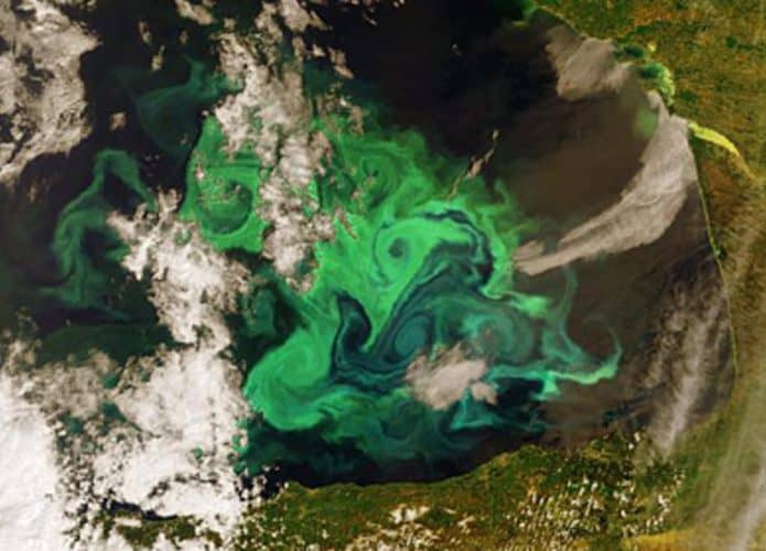 Oceano-verde-1-695x500