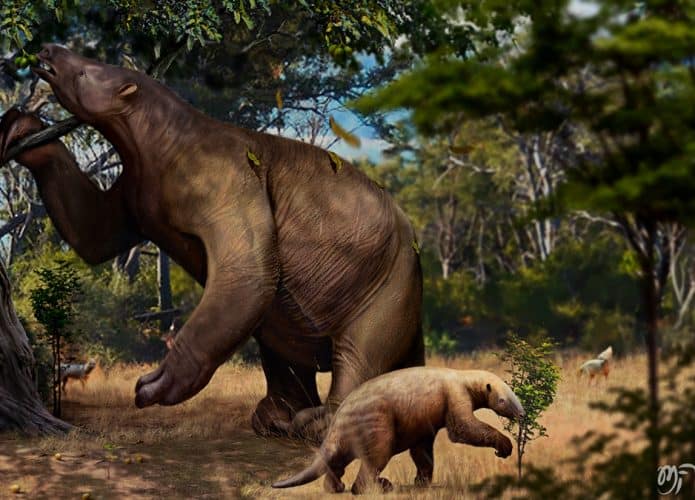 Preguiça gigante e seu filhote comendo em floresta