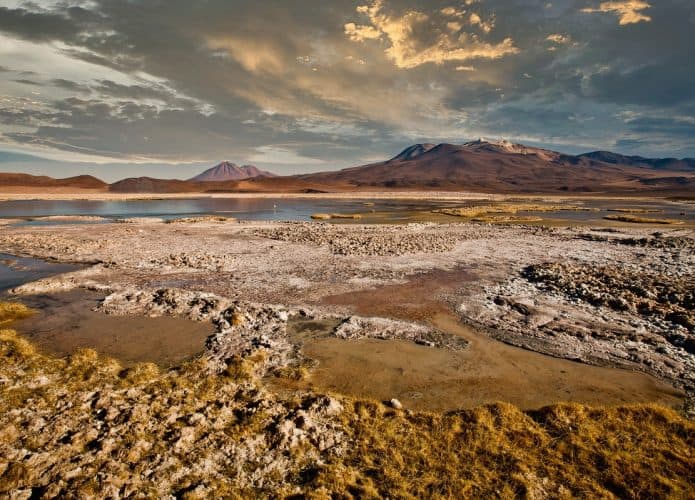 altiplano_atacama-695x500
