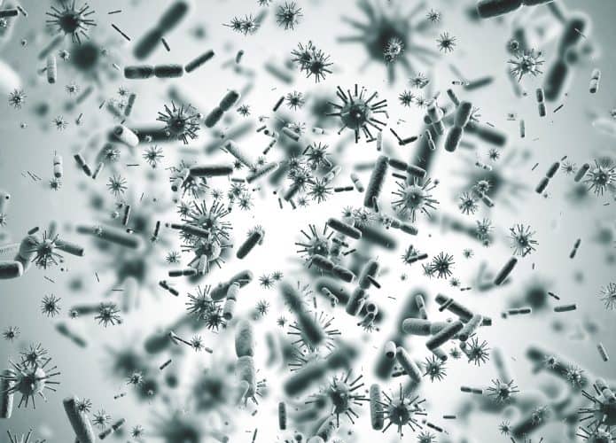 bacterias-695x500