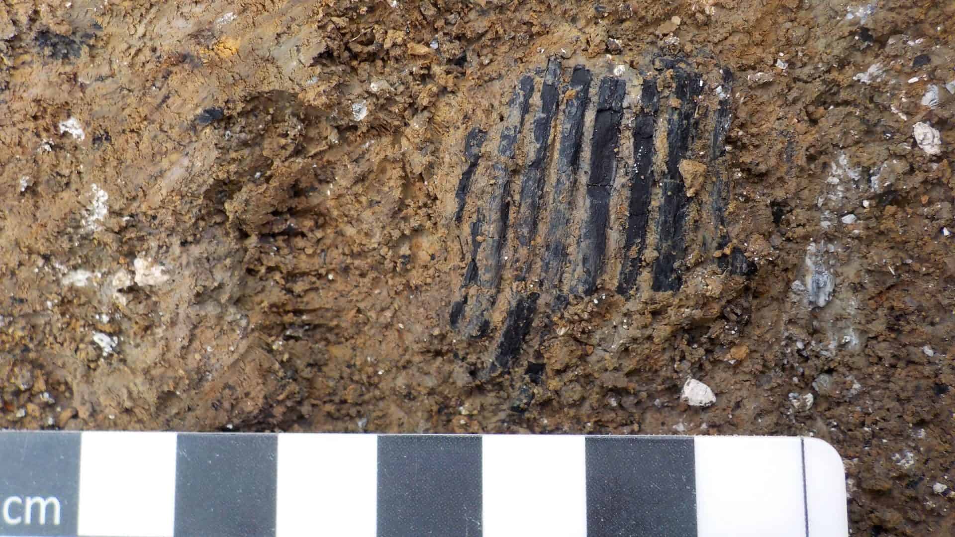 Pente de madeira encontrado no Reino Unido