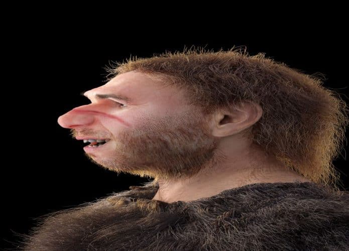 Foto projetada do que seria um neandertal de perfil