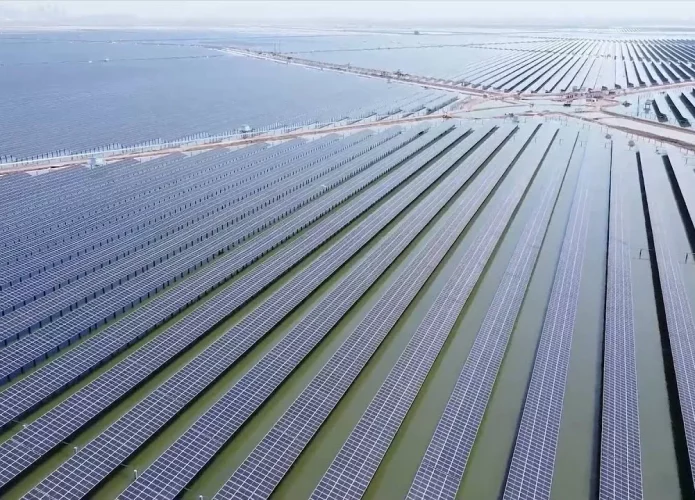 tianjin-solar-salt-shrimp-695x500.webp