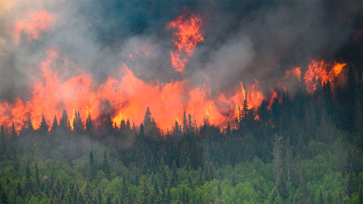 Incêndio em floresta do Canadá