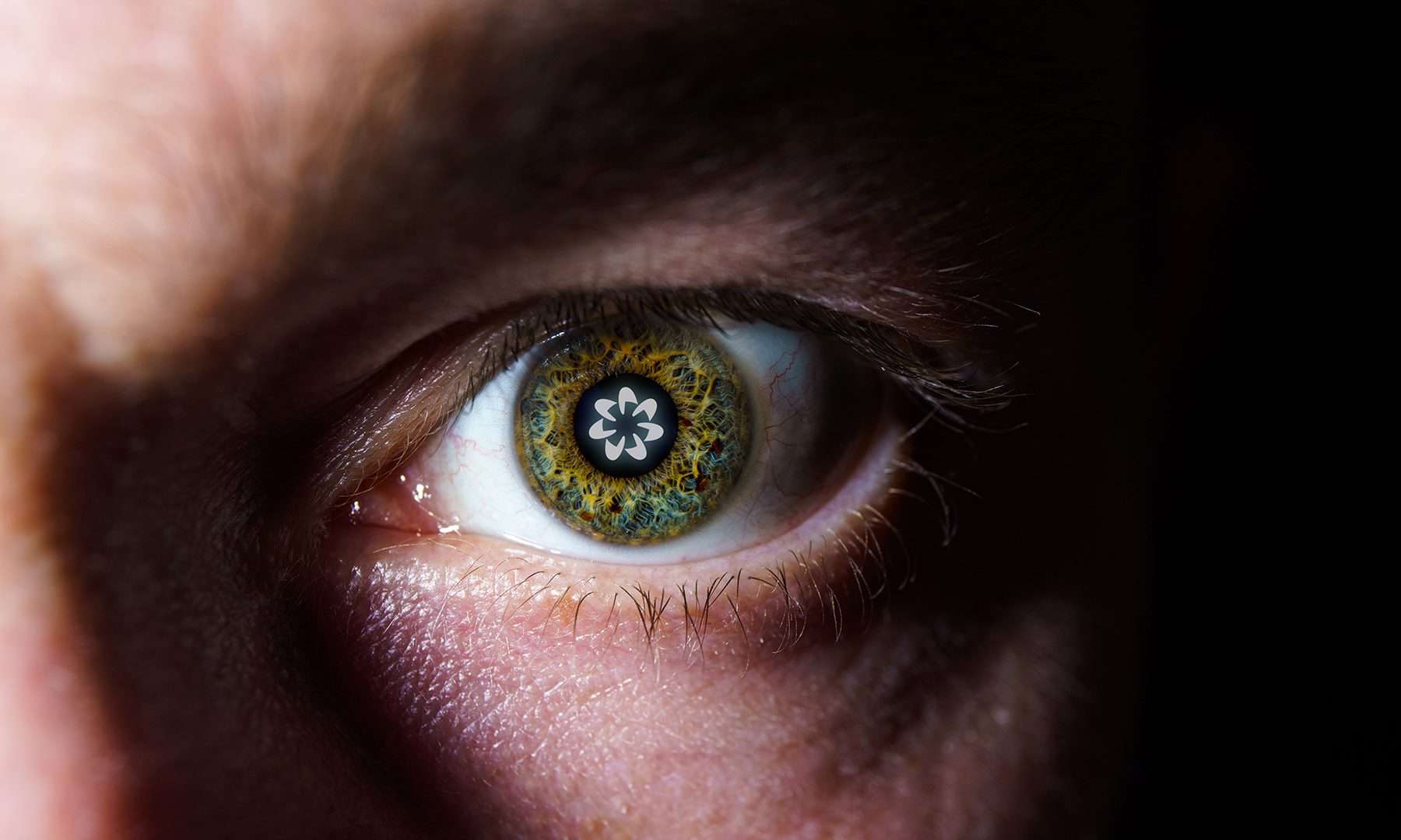 Imagem representa a Worldcoin, iniciativa do Sam Altman