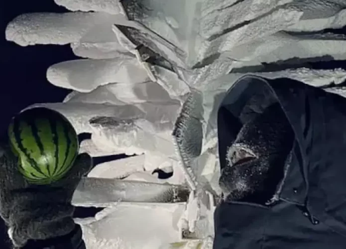 Cientista segura fora da estação uma das melancias cultivadas na Antartica