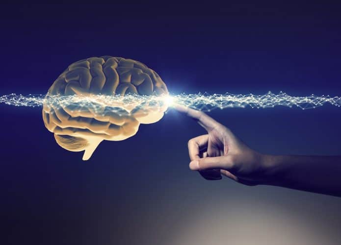 neurociência