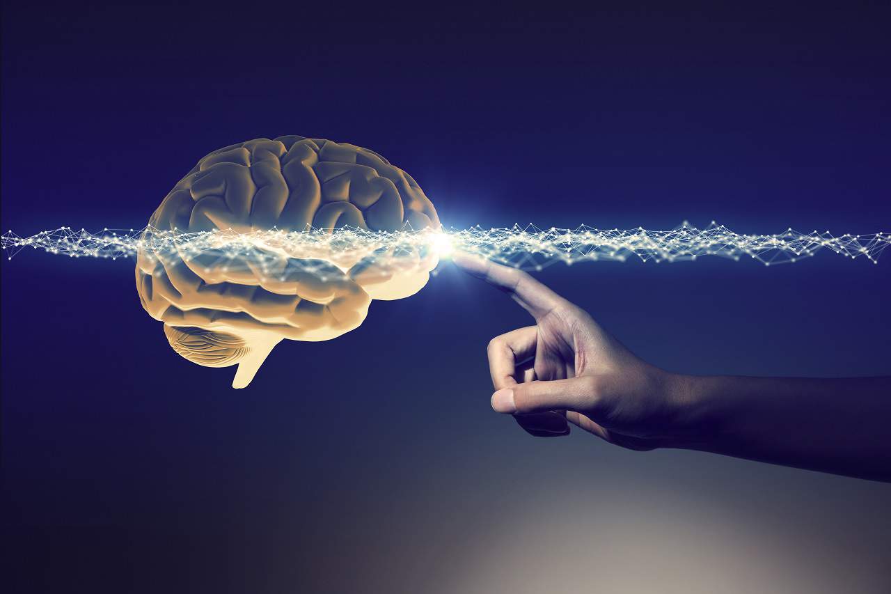 neurociência