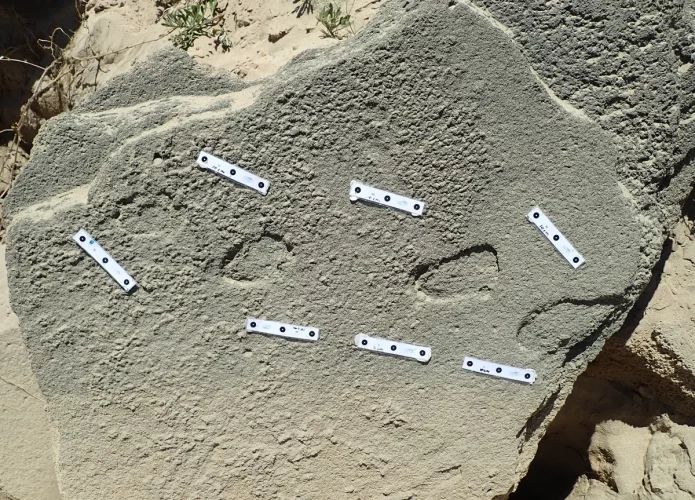 Pegadas encontradas na África do Sul podem ser o mais antigo registro do uso de calçados