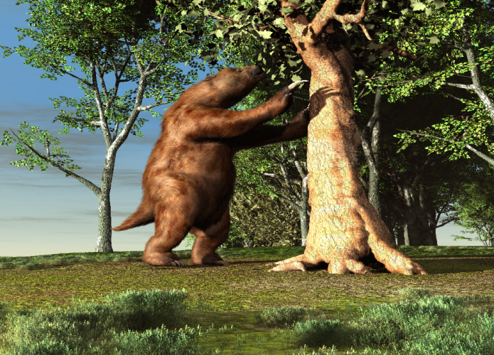 preguica-gigante-695x500.png