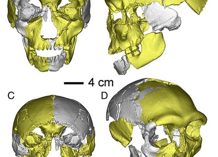 fóssil de hominídeo encontrado na China