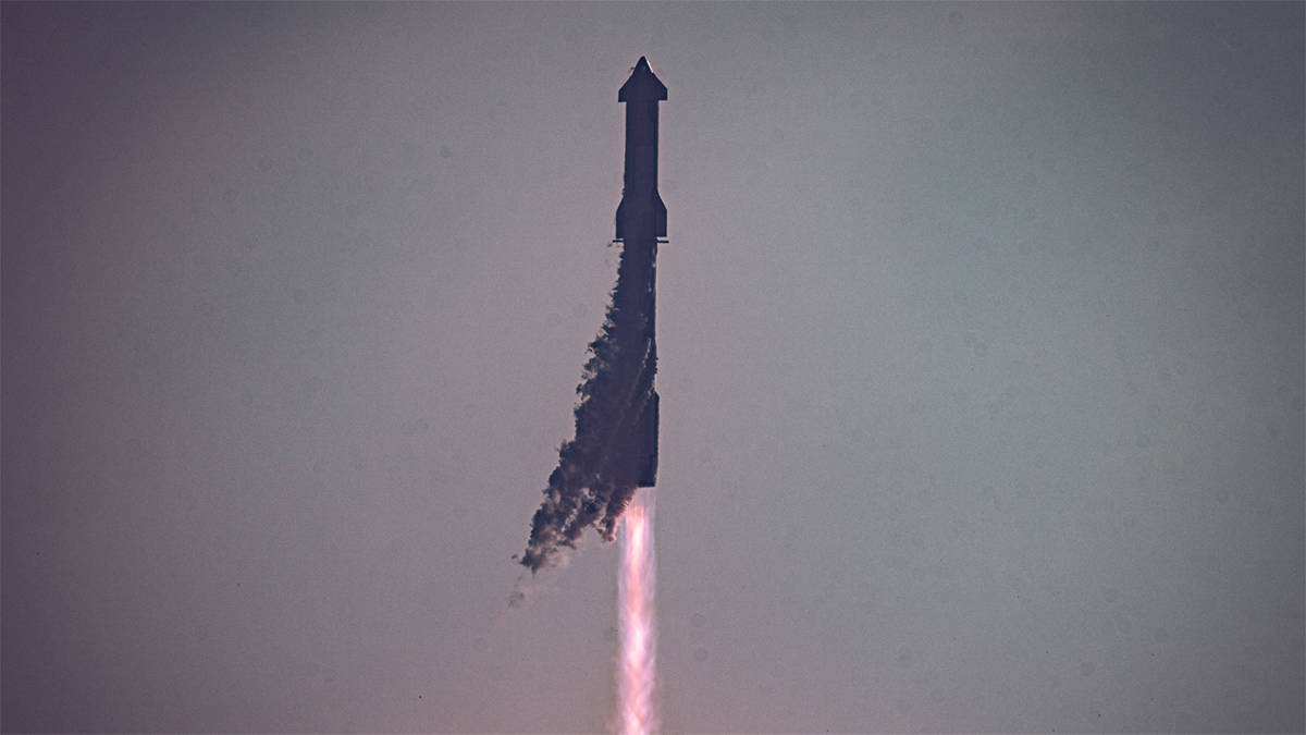 starship-spacex