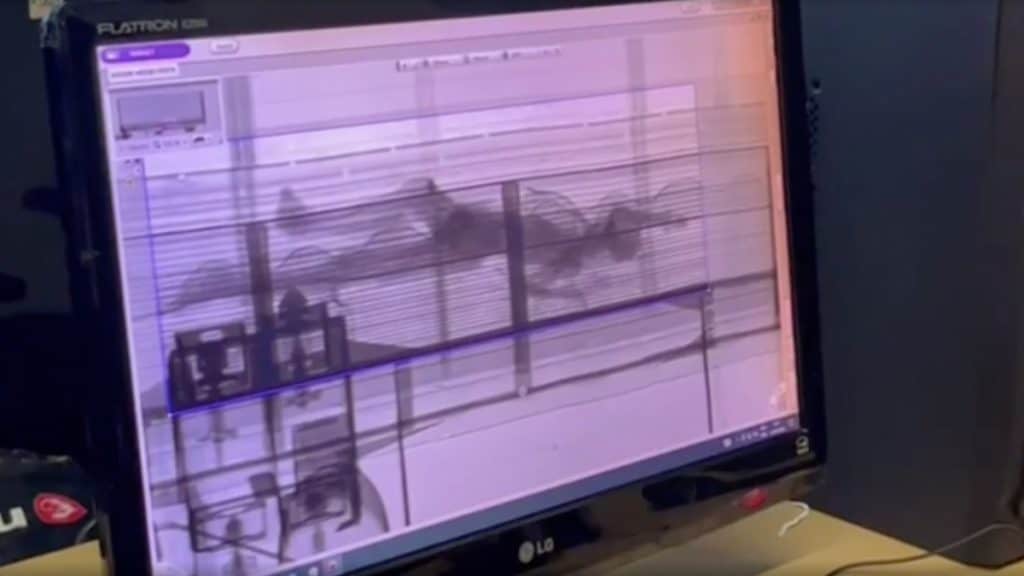 Silhueta de corpo apontado por IA em scanner usado pela Receita Federal