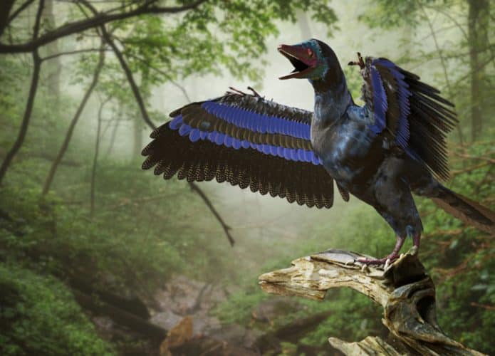 Dinossauro com penas