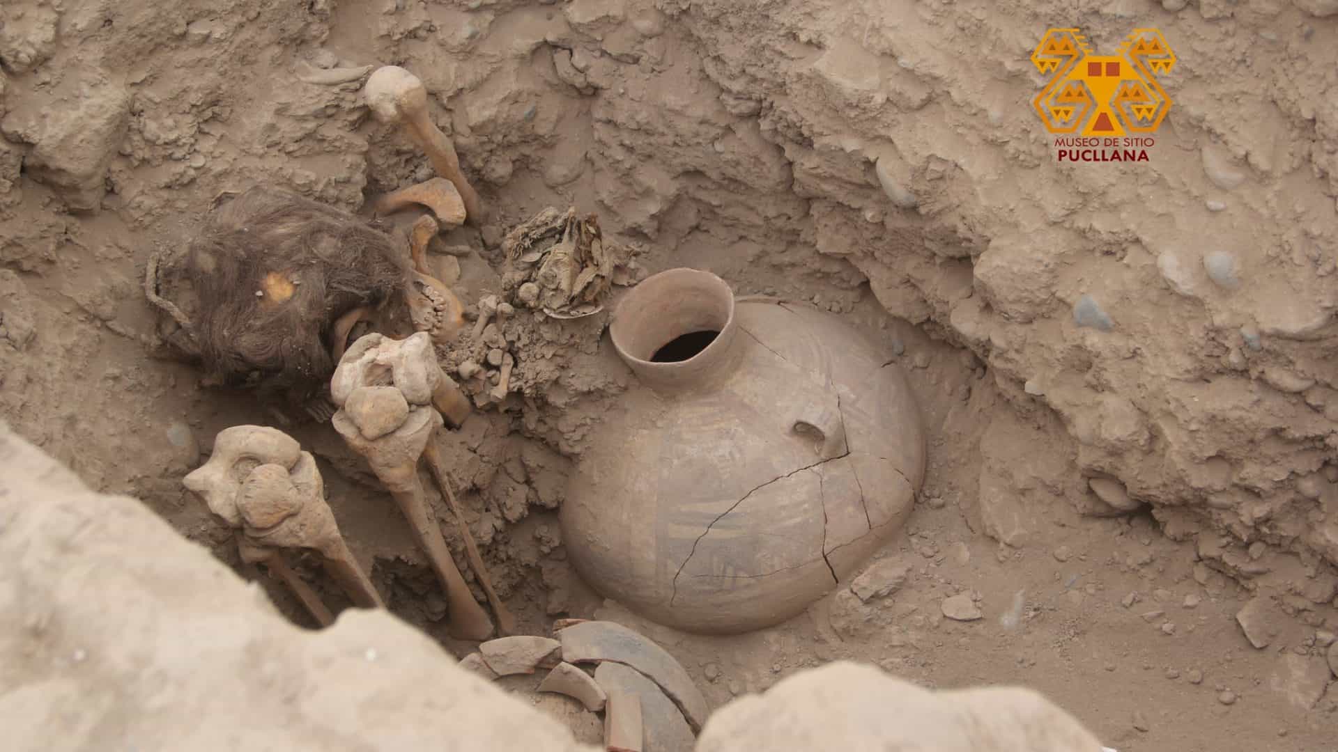 Múmia cabeluda encontrada no Peru (Credito: Divulgação/ Museo de Sitio Huaca Pucllana)