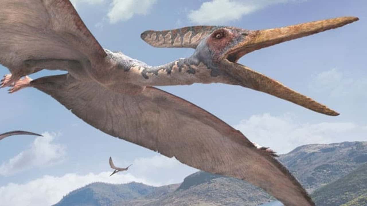 Pterodáctilo