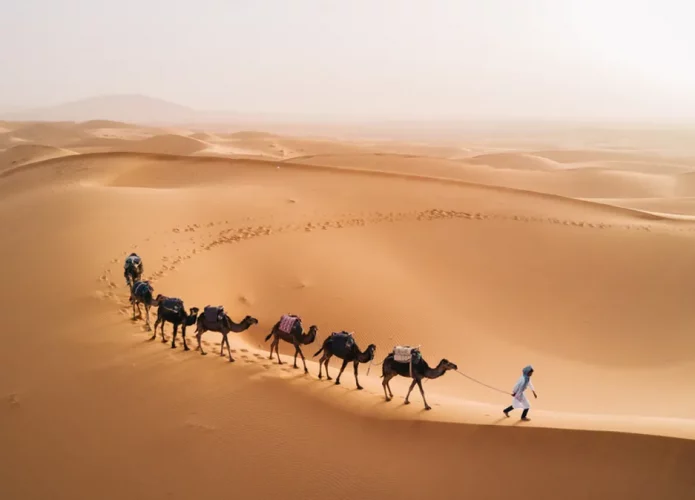 Arte rupestre revela passado surpreendente do deserto do Saara