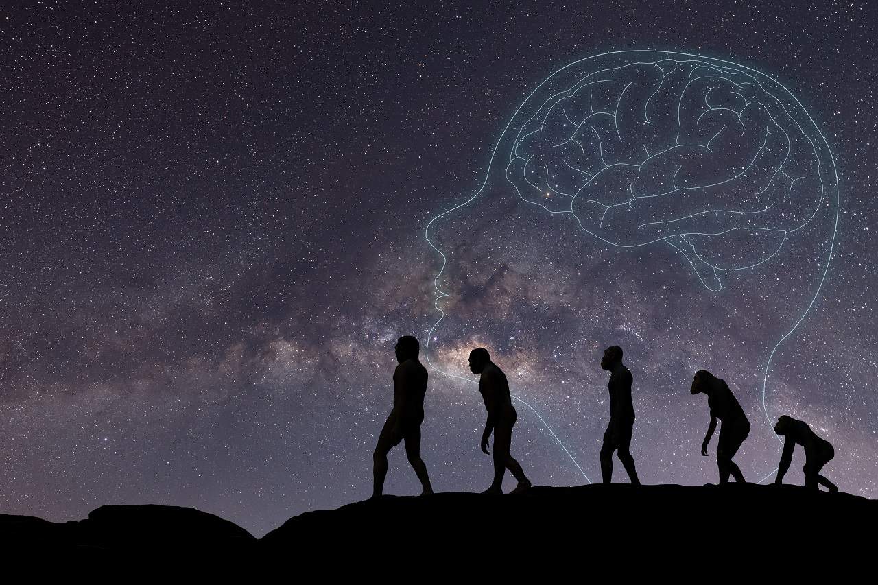 Descoberta revela a singularidade do sentido de ordem humano