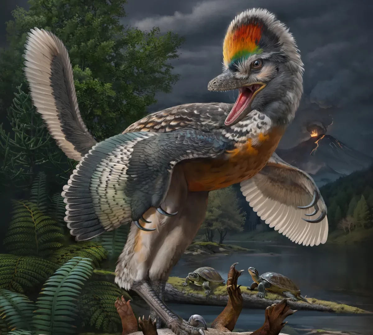 fujianvenator-prodigiosus-1200x1080.webp
