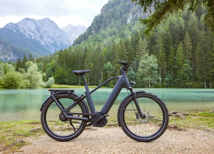 gazelle-eclipse-e-bike-bike-695x500.webp