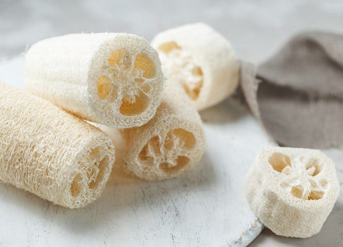 luffa vegetal