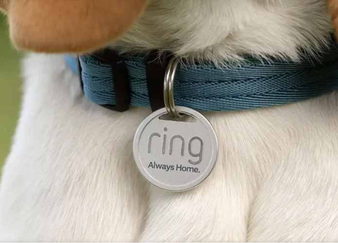 Acessório inteligente ajuda e encontrar pets perdidos