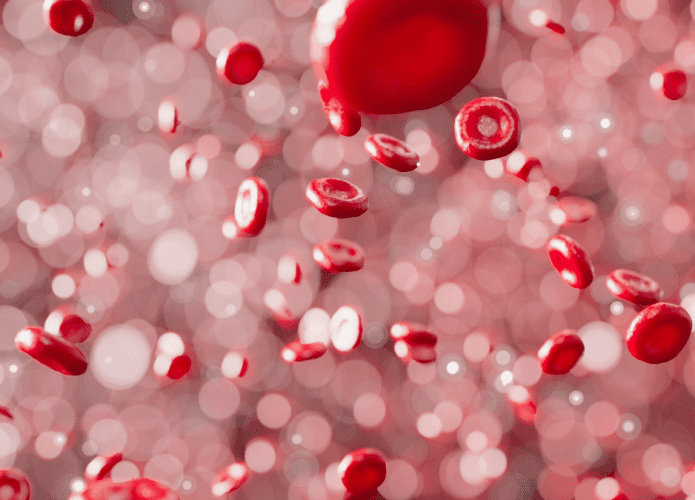 sangue-hemacias-695x500.png
