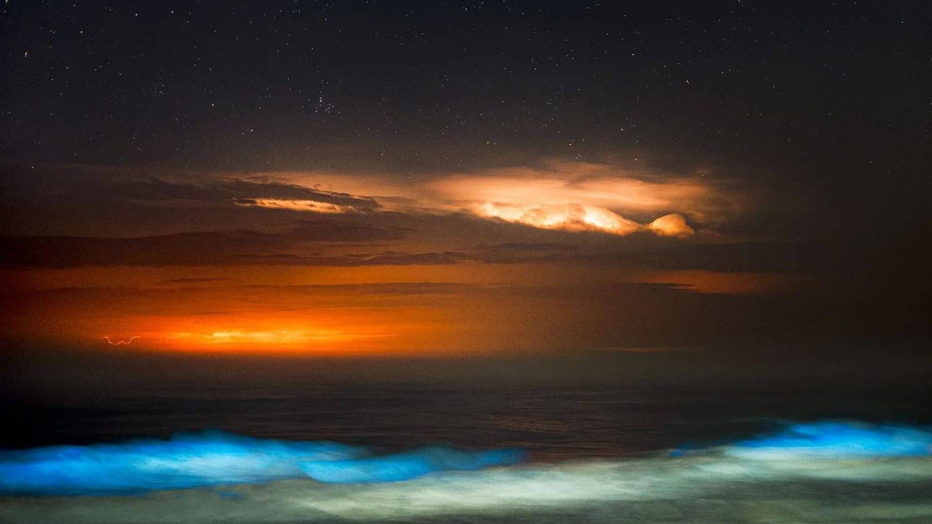 Bioluminescência em Torres, RS, pelas lentes de Gabriel Zaparolli
