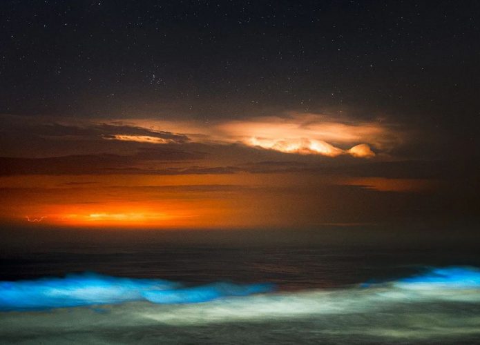 Bioluminescência em Torres, RS, pelas lentes de Gabriel Zaparolli