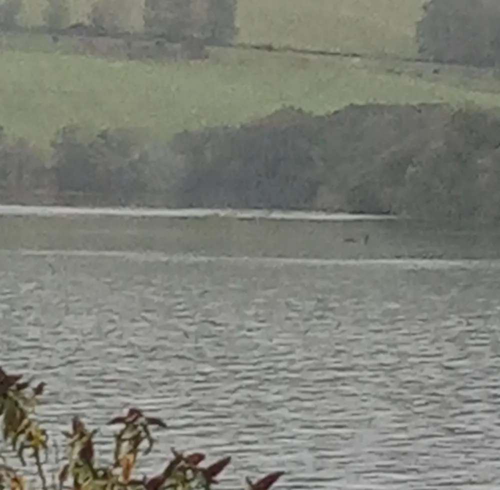 Avistamento do Monstro do Lago Ness