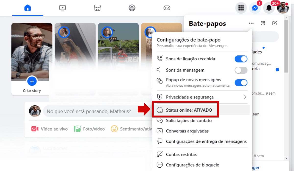 Passo a passo desativar status online