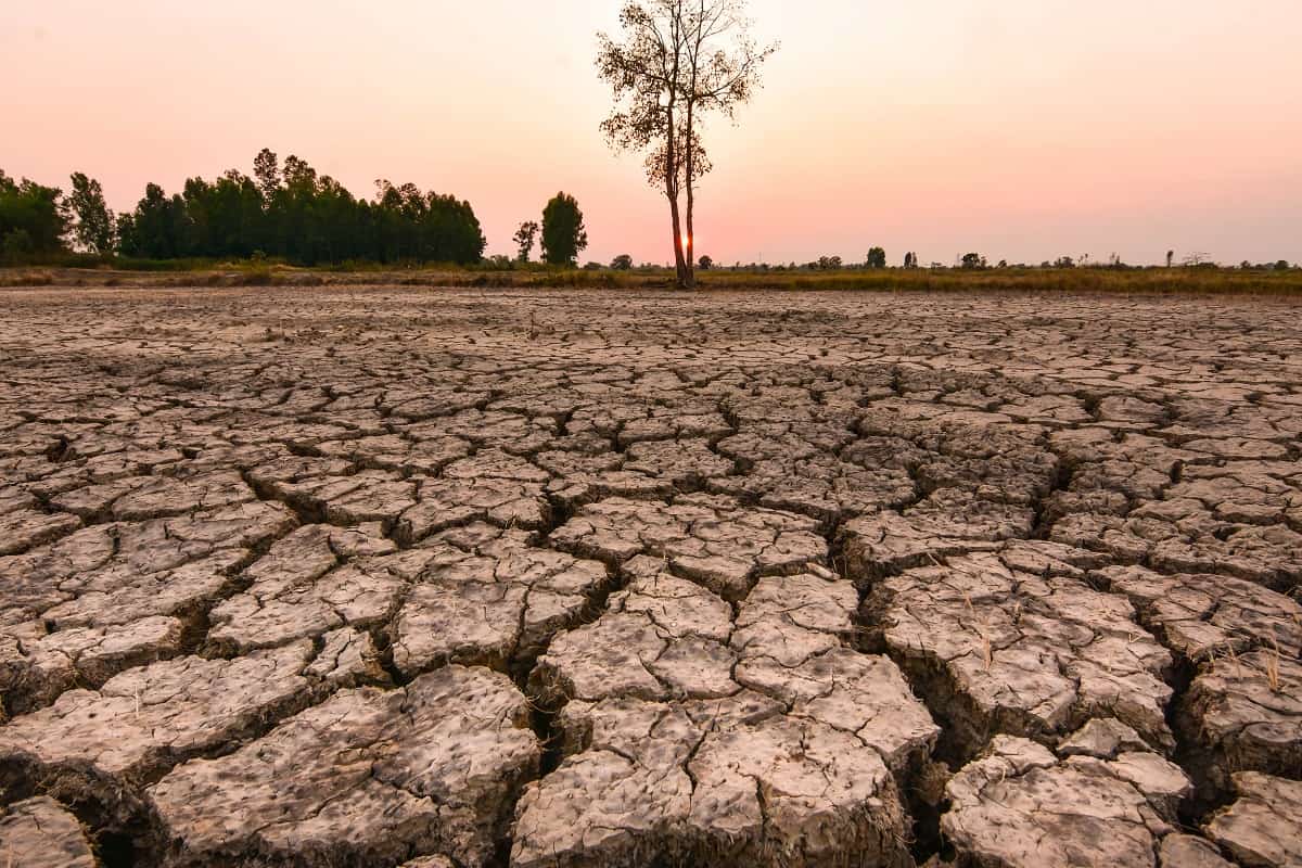 El Niño continuará no 1° semestre de 2024; Brasil tem alerta para secas