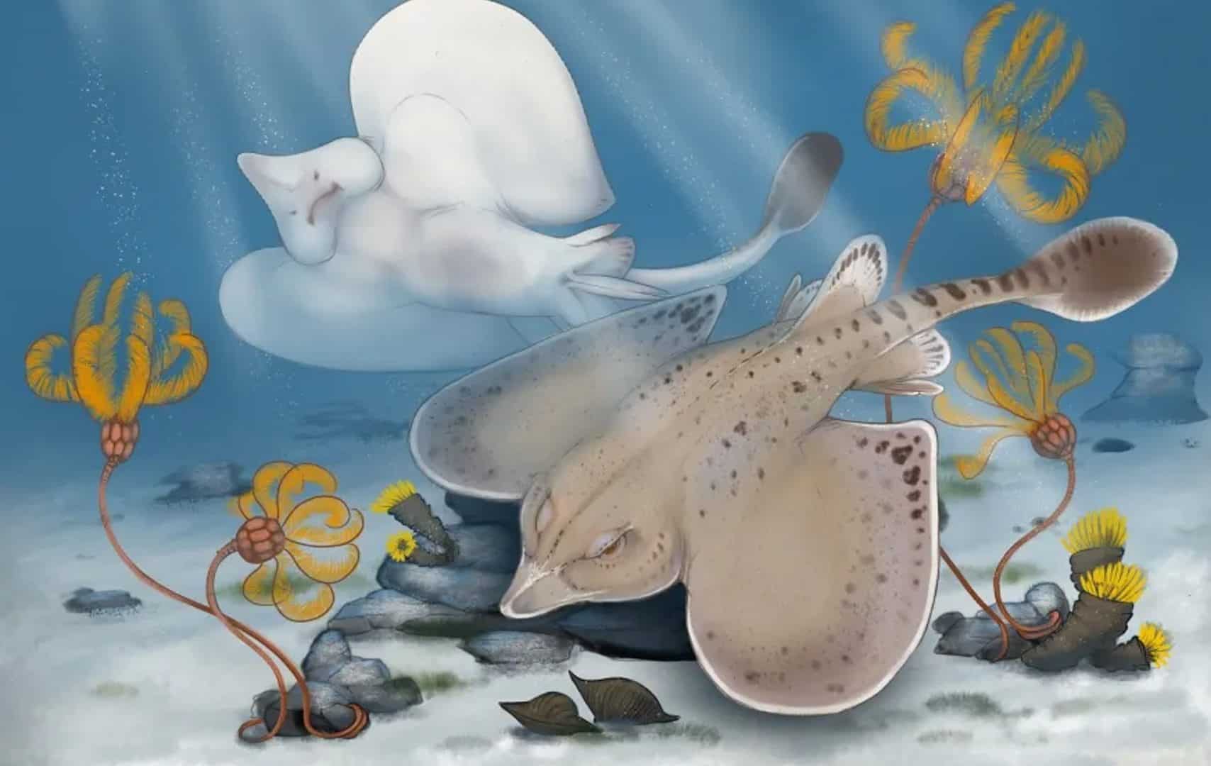 Sem-titulo-16-1708x1080