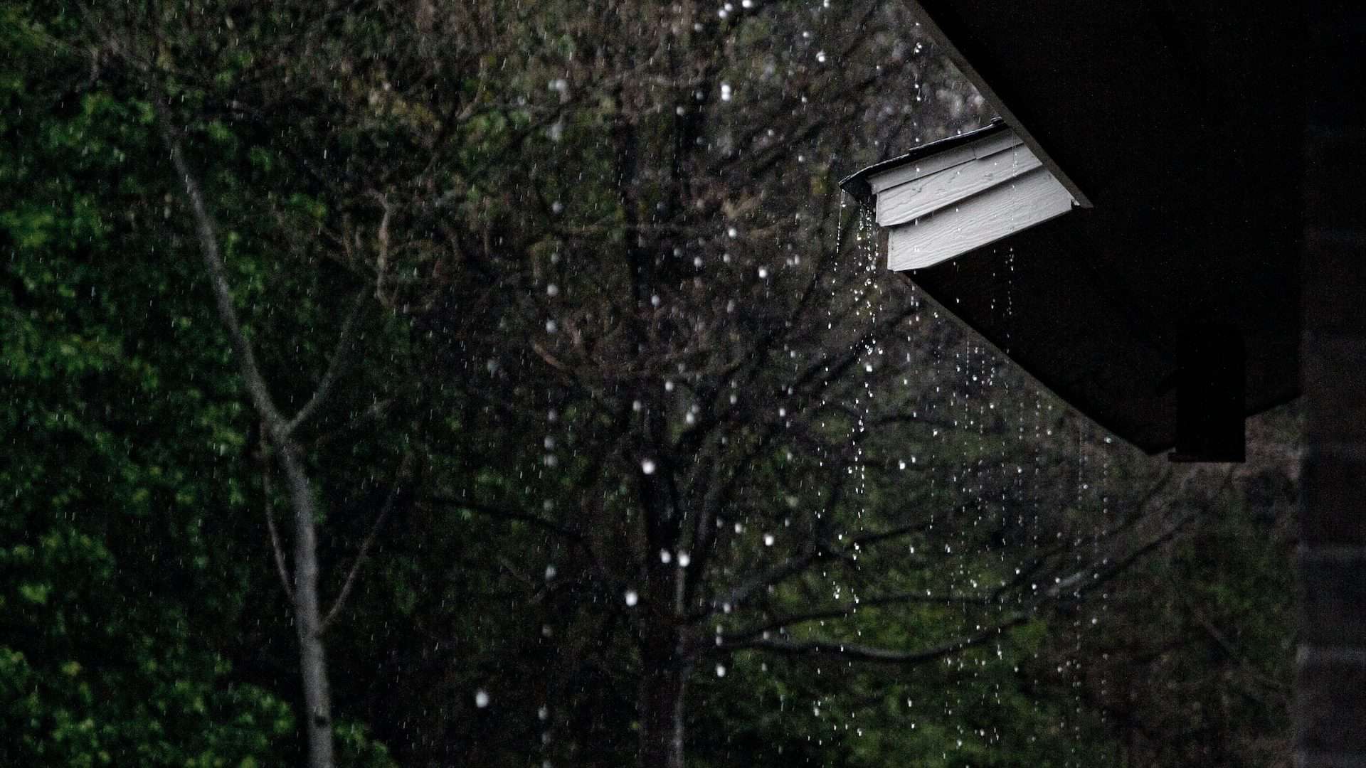 Chuva caindo no telhado via Anna Atkins/Unsplash