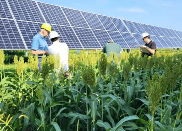 agrovoltaica-enegria-agricultura-695x500.png