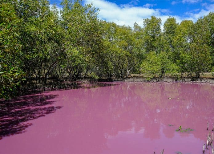 agua-rosa-australia-695x500
