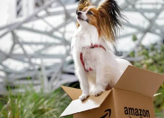 cachorro_amazon-695x500