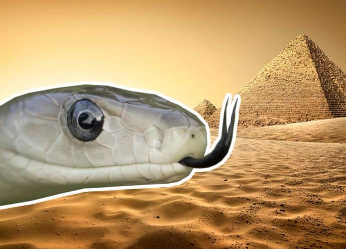 egito-cobras-695x500