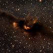 A Nebulosa do Morcego Cósmico (Nebulosa do Morcego Cósmico (LDN 43) é uma densa nuvem molecular escura que lembra a silhueta de um morcego com as asas abertas.